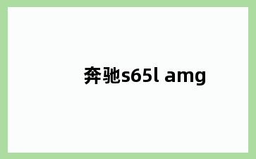 奔驰s65l amg